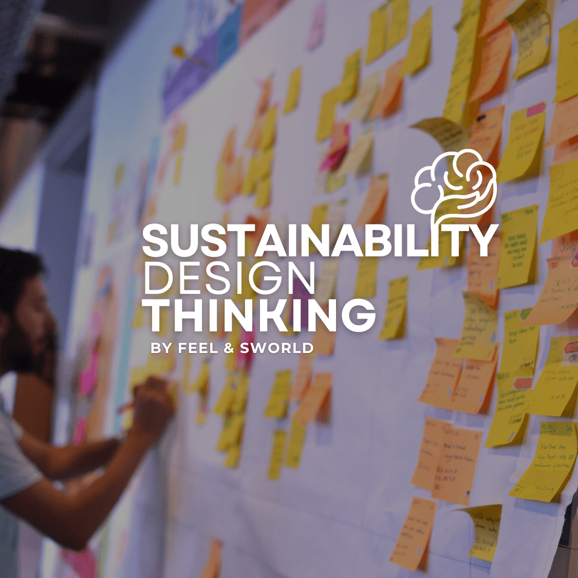 Sustainability Design Thinking